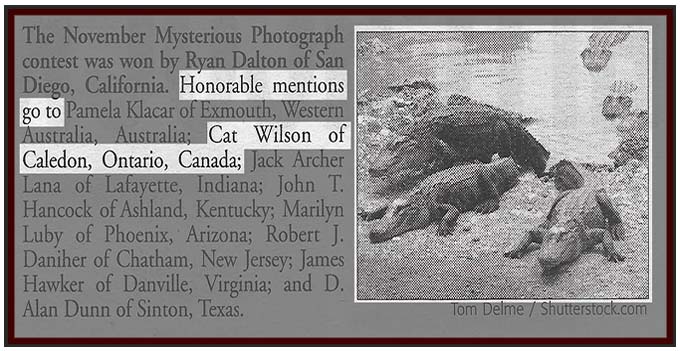 Cat Wilson Mysteries - Postcard Stories